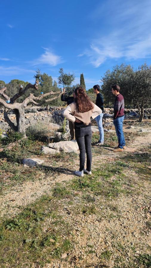 Can Barraca Avinyonet de Puigventós Exterior foto